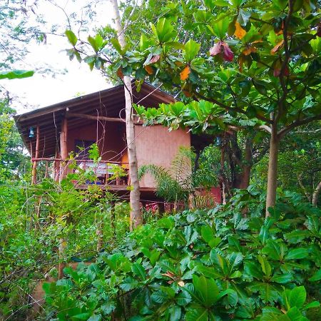 Akash Treehouse Apartment Sigiriya Exterior photo