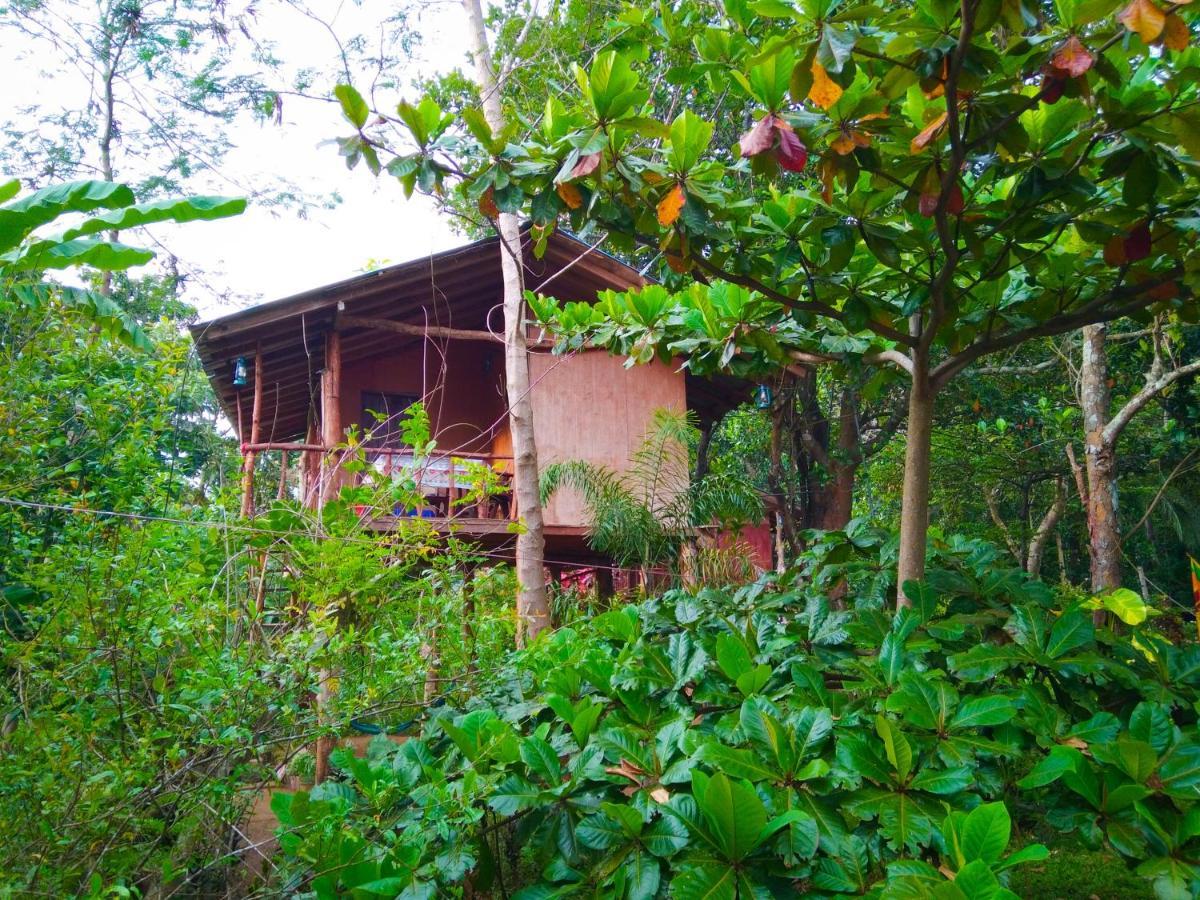 Akash Treehouse Apartment Sigiriya Exterior photo